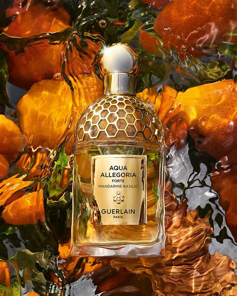 aqua allegoria mandarine basilic fragrantica.